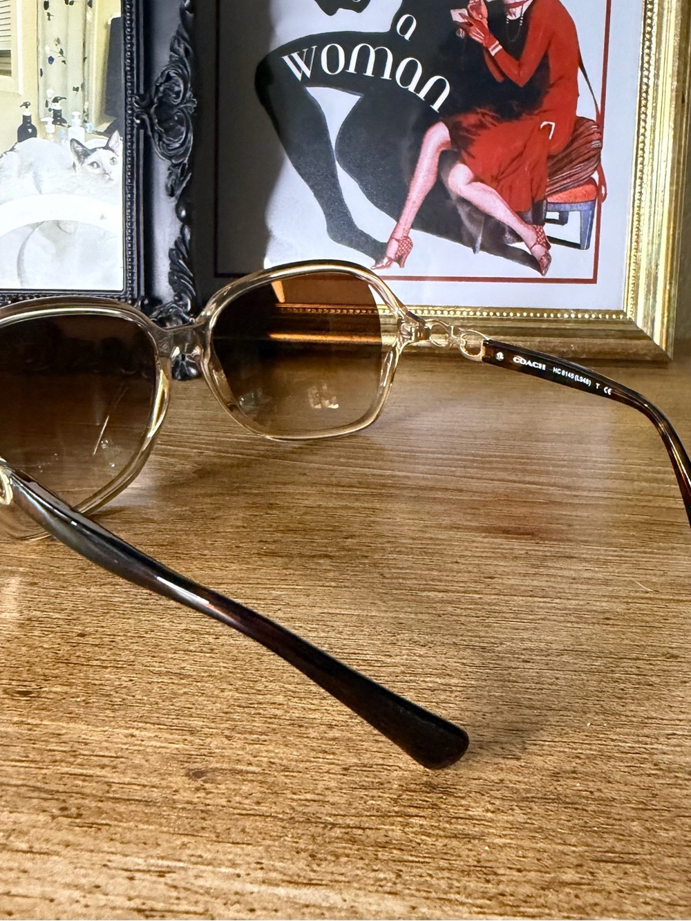 Coach Brown Gradient Oversized Sunglasses with Case - Picture 4 of 5